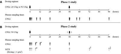 Development of a population pharmacokinetics and pharmacodynamics model of glucarpidase rescue treatment after high-dose methotrexate therapy